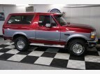 Thumbnail Photo 38 for 1994 Ford Bronco
